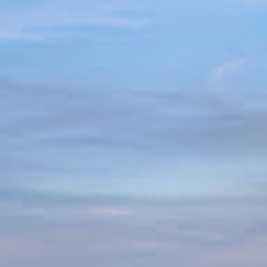 Meet your Posher, Ava